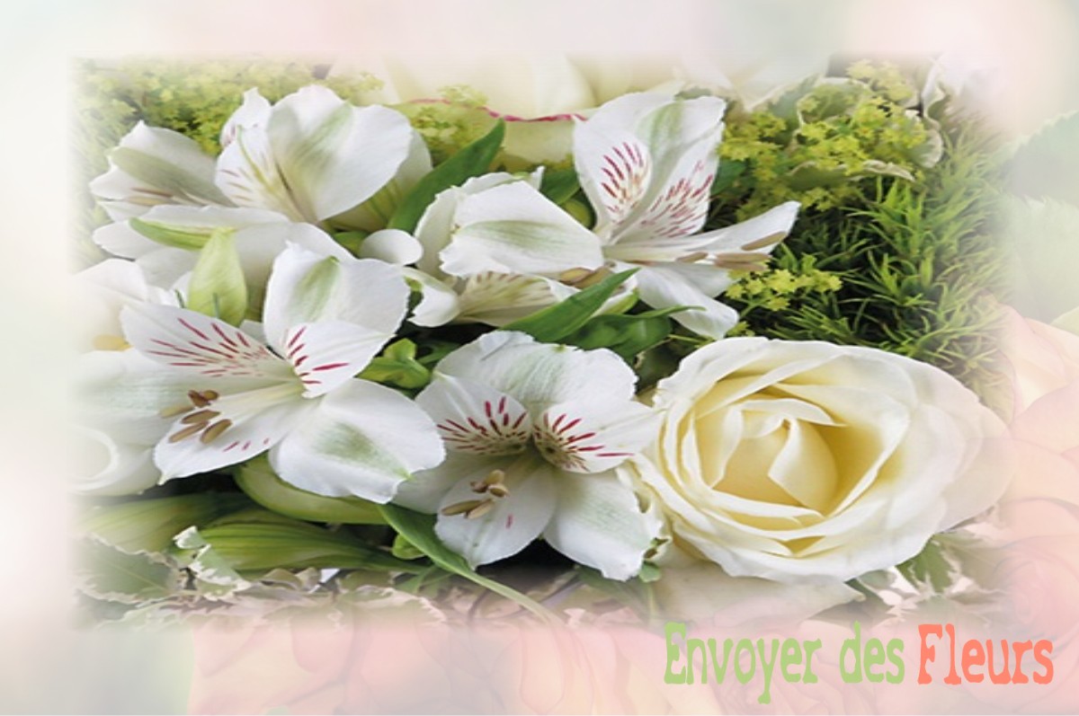 envoyer des fleurs à à SAINT-DENIS-D-ANJOU